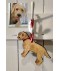 Personalised Dog Door Hanger
